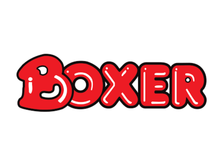 Careers at Boxer Superstore 2024-2025